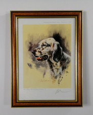 Majestic (English Setter) - Brown Framed