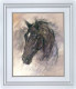 Midnight - White Framed