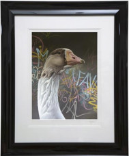 Monty - Framed