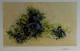 Mountain Gorilla - Dark Wood Framed