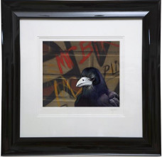 Mr B - Paper - Framed