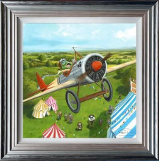 Mr Toads Fantastic Air Display - Framed