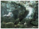 Not All Who Wander Are Lost - Large - Framed - Mounted