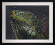 Pop - Artist Proof Black Framed
