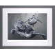 Riding The Current - Grey Framed