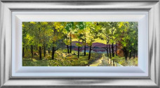 Road To The Lake - Original - Silver Framed