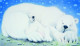 Sleeping Bear Dunes - Mounted