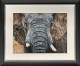 Tembo - Black Framed