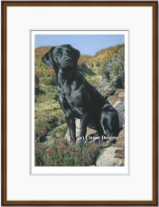 Tribute To Moses - Dark Wood Framed