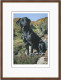 Tribute To Moses - Dark Wood Framed