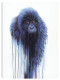 Virunga - Box Canvas