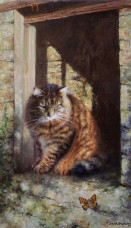 Whisky The Farmyard Cat