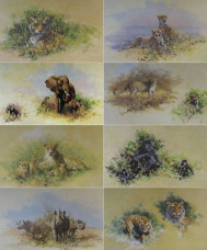 Wildlife Of The World Portfolio (Set Of 8) Wildlife Of The World Portfolio (Set Of 8)