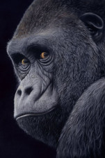 You Talking To Me - Canvas - Board Only