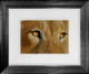 Golden Gaze - Original - Framed