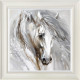 Phantom - Limited Edition - White Framed