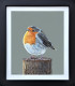 Rosie - Original - Framed