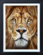 The King - Limited Edition - Black Framed