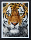 The Prince - Deluxe Limited Edition - Black Framed