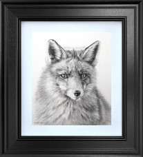 The Watchful Wanderer - Study - Original - Black Framed