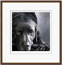 Dog Tired Series - Black Labrador - Dark Wood Framed