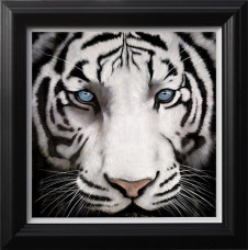 Narnia - Black Framed