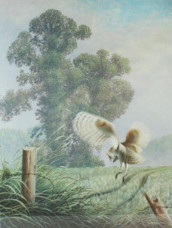 Spirit Of The Elms - Print
