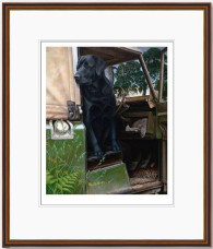 In The Driving Seat - Dark Wood Framed