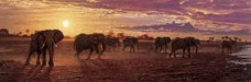 The Sundowners - Elephants - Print only
