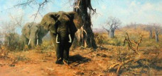 The Land Of The Baobab Tree - Print only