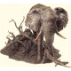 The Gentle Giant - Sculpture - Bronze