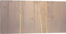 Enchanted Woods I