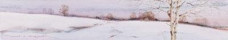 Landscape III