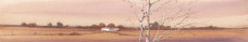 Landscape II