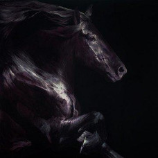Equus II - Board Only