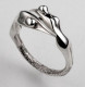 Circle Of Life - Ring - Other