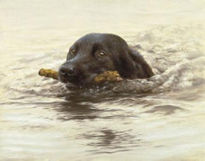 Swimming Lesson - Print