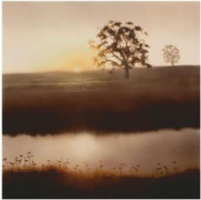 Field Of Gold - Mounted