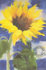 Sunburst II - Print