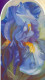 Iris - Print