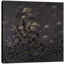 Sleeping Beauty - Box Canvas