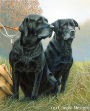 Senior Service - Dark Wood Framed