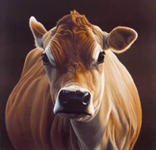 Posh - Cow - Mounted