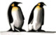 The King & I - Penguins - Mounted