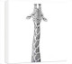 Dizzy Heights - Giraffe - Box Canvas