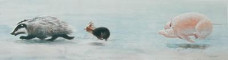 The Chase 2