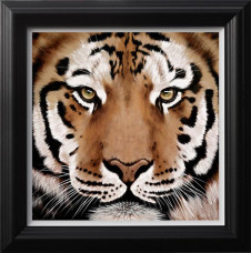 Rocky - Black Framed