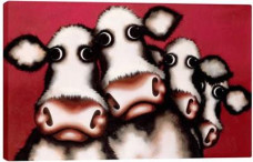 Me Moo & The Udders - Box Canvas